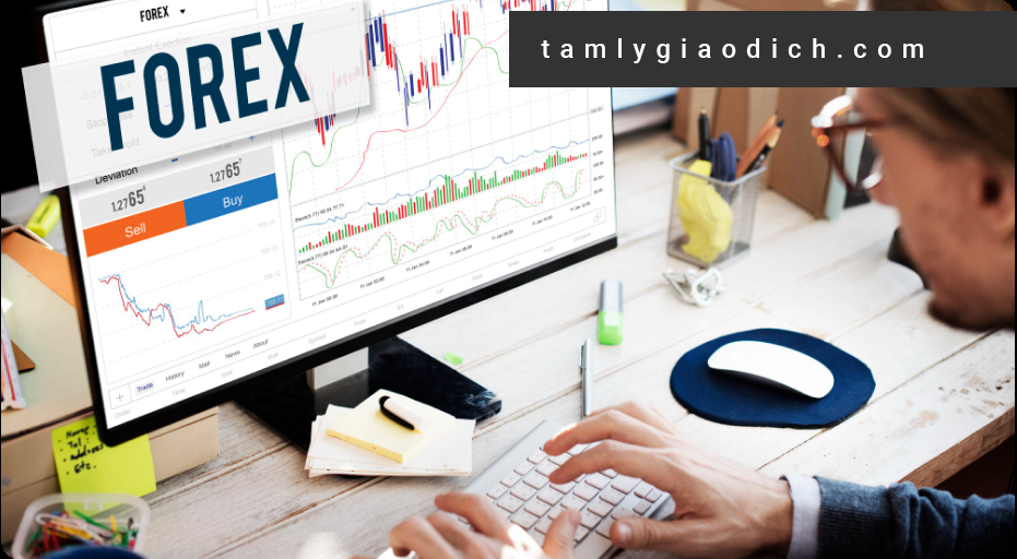 Kiến thức đầu tư Forex là rất cần thiết và hữu ích với tất cả nhà đầu tư